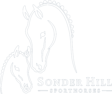 Sonder Hill Sporthorses