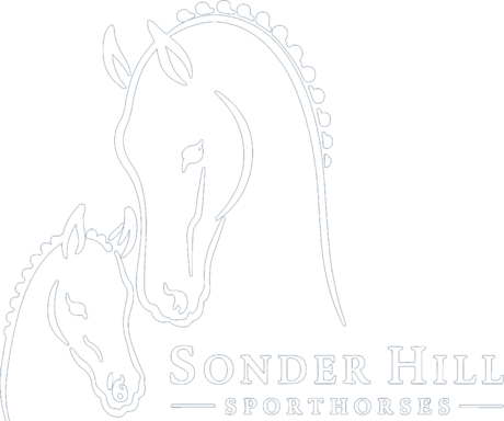 Sonder Hill Sporthorses at Kynynmont Farm